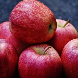 Récolte et conservation des pommes